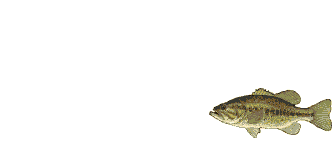 crankbait.gif