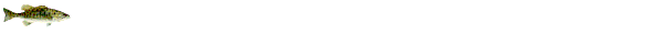 img55.gif